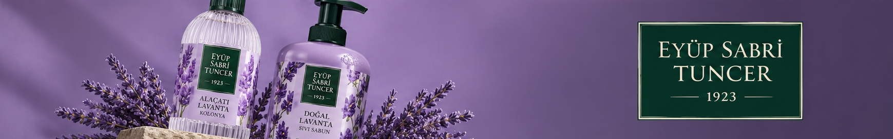 banner 6 lg